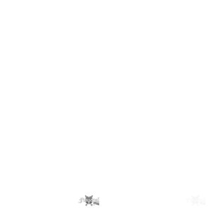 wwwwwww